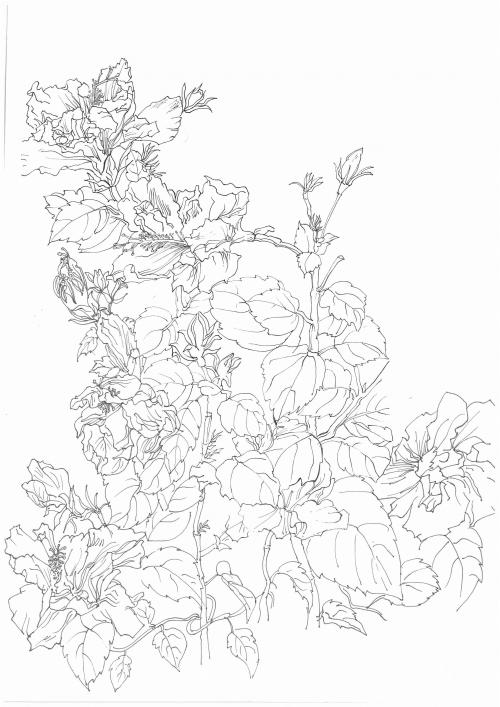 名古屋学芸大学degree certificate